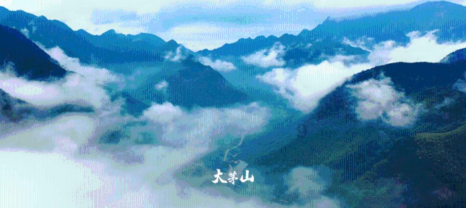 朋友，生活中重要的存在